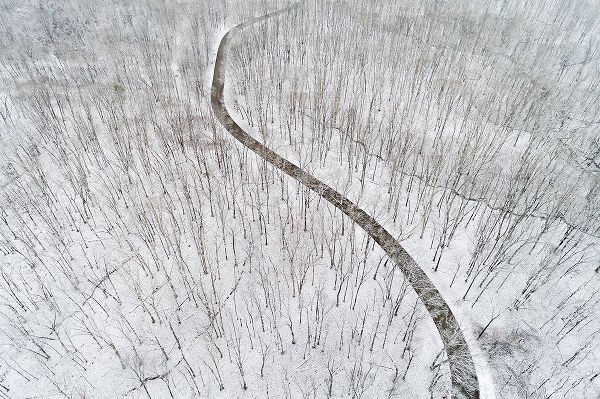 Day, Richard and Susan 아티스트의 Aerial view of a fresh snow over the forest and road-Marion County-Illinois작품입니다.